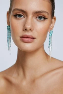 Jewelry Embellished Drop Two Tone Earrings