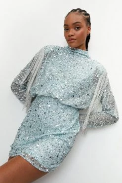 Sequin Dresses Embellished Sequin Fringe Trim Bodycon Mini Dress